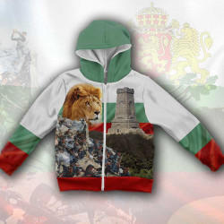 3D Детски суитшърт за момче Шипка