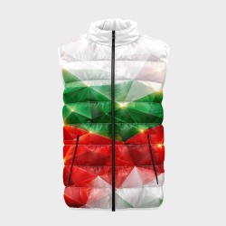 Мъжки спортен елек с национални мотиви 14257