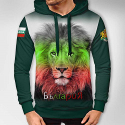 3D мъжки спортен суитшърт Лъв 10695