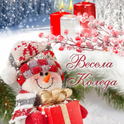 3D луксозен коледен спален комплект 9343