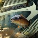 3D луксозен спален комплект лов и риболов Carp Hanter