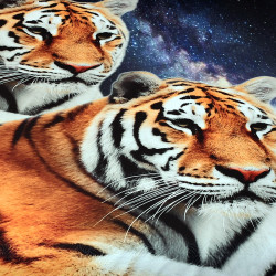 3D луксозен спален комплект Tigers