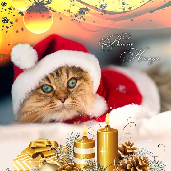 3D луксозен коледен спален комплект 12086