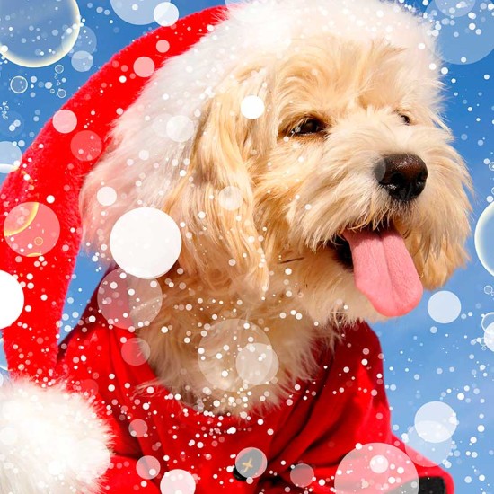 3D луксозен коледен спален комплект 12088