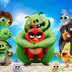 3D ДЕТСКИ СПАЛЕН КОМПЛЕКТ Angry Birds 3D ДЕТСКИ СПАЛЕН КОМПЛЕКТ Angry Birds