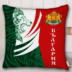 Пухкава декоративна възглавница 11262