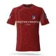 3D мъжка фенска тениска FC Atletiko Madrid 11734